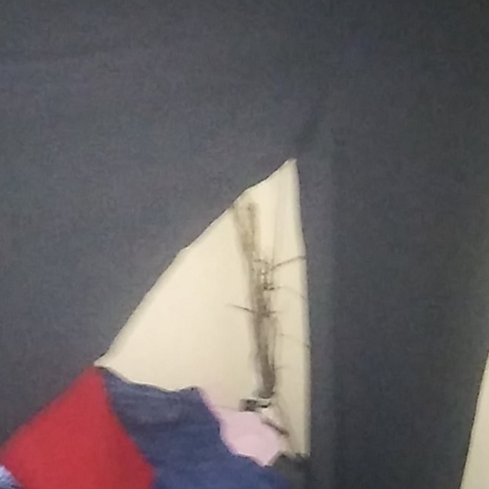 Jumpsuit - Picture 5 of 5